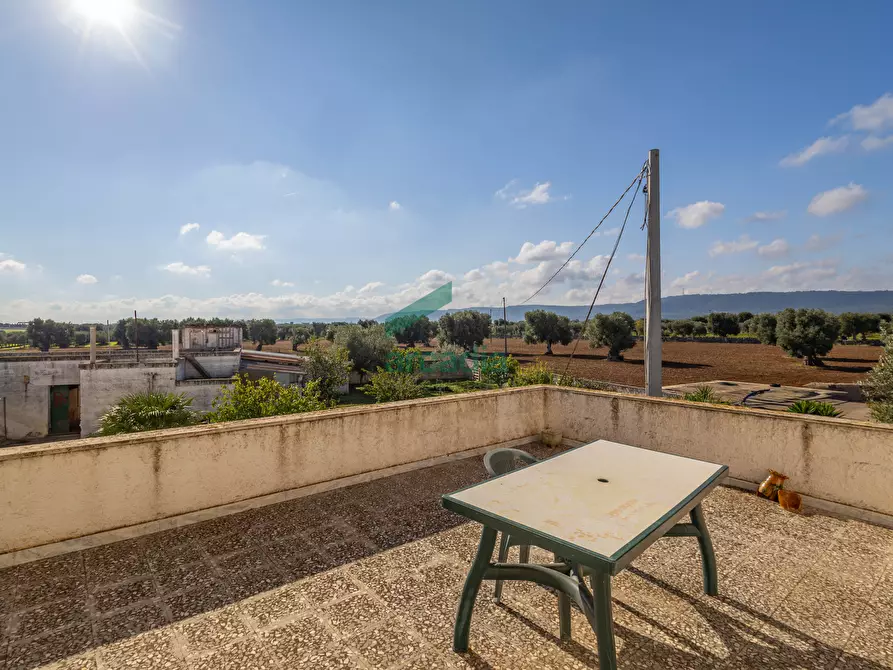 Immagine 11 di Rustico / casale in vendita  in Contrada Cristo delle Zolle 209 a Monopoli
