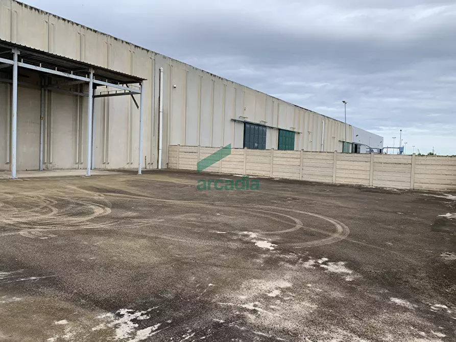 Immagine 12 di Attività artigianale in vendita  in Via dei Gladioli 6 a Modugno