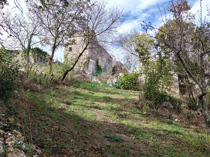 Immagine 27 di Rustico / casale in vendita  in Via Bosco Selva 24 a Alberobello