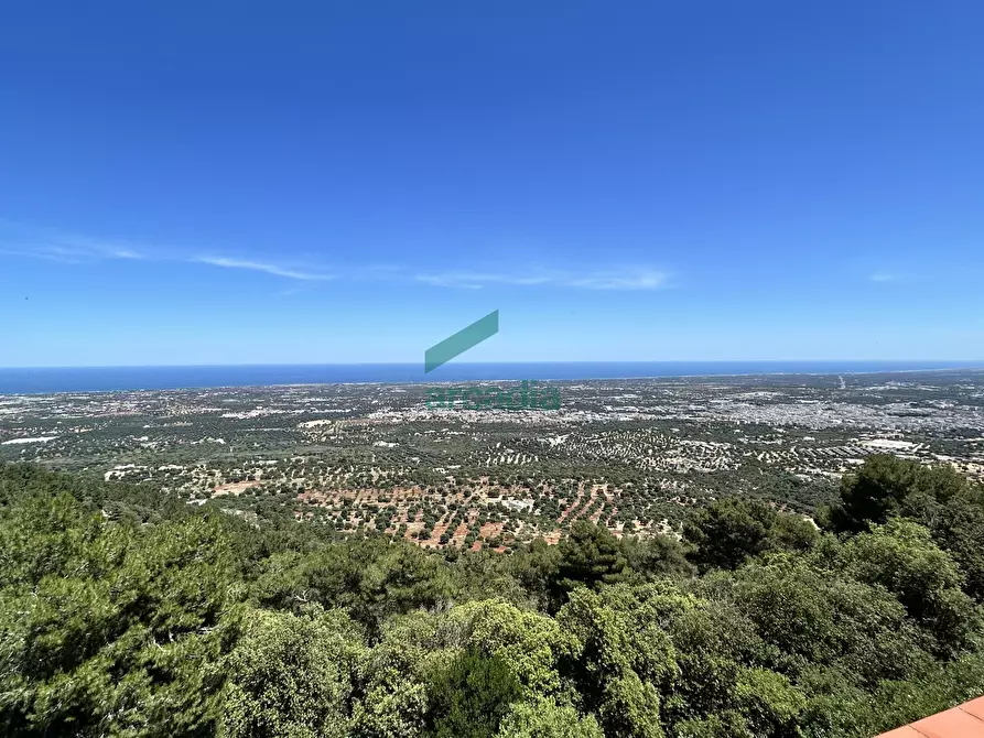 Immagine 8 di Monolocale in vendita  in Viale delle Querce 3 a Fasano