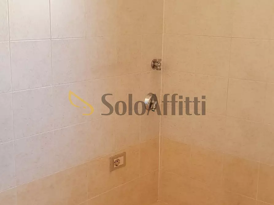 Immagine 17 di Quadrilocale in affitto  in Via Rosolino Pilo a Torino