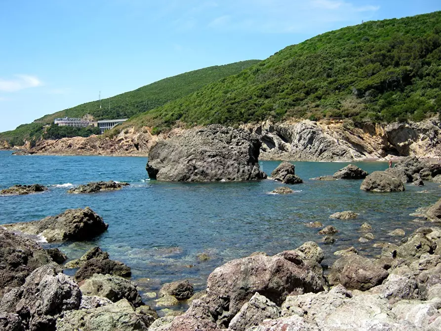 Immagine 2 di Villa in affitto  a Livorno