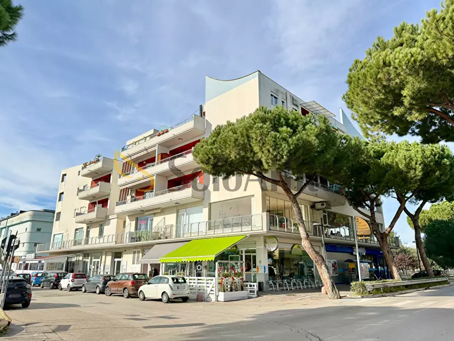 Immagine 25 di Trilocale in affitto  in Via Nazionale 518 a Roseto Degli Abruzzi