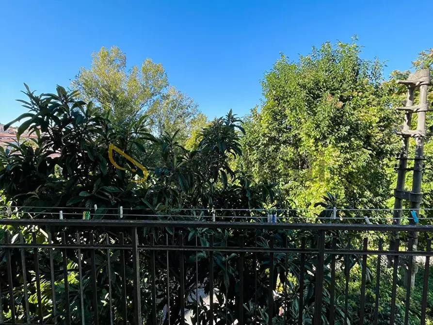 Immagine 17 di Bilocale in affitto  a Frosinone