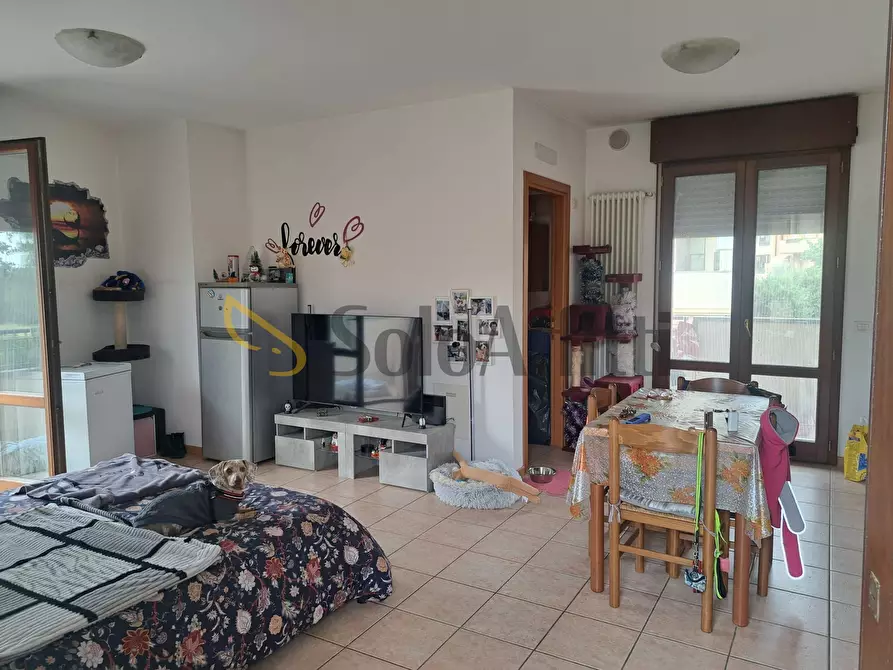 Immagine 2 di Monolocale in affitto  in Via San Martino in Riparotta a Rimini