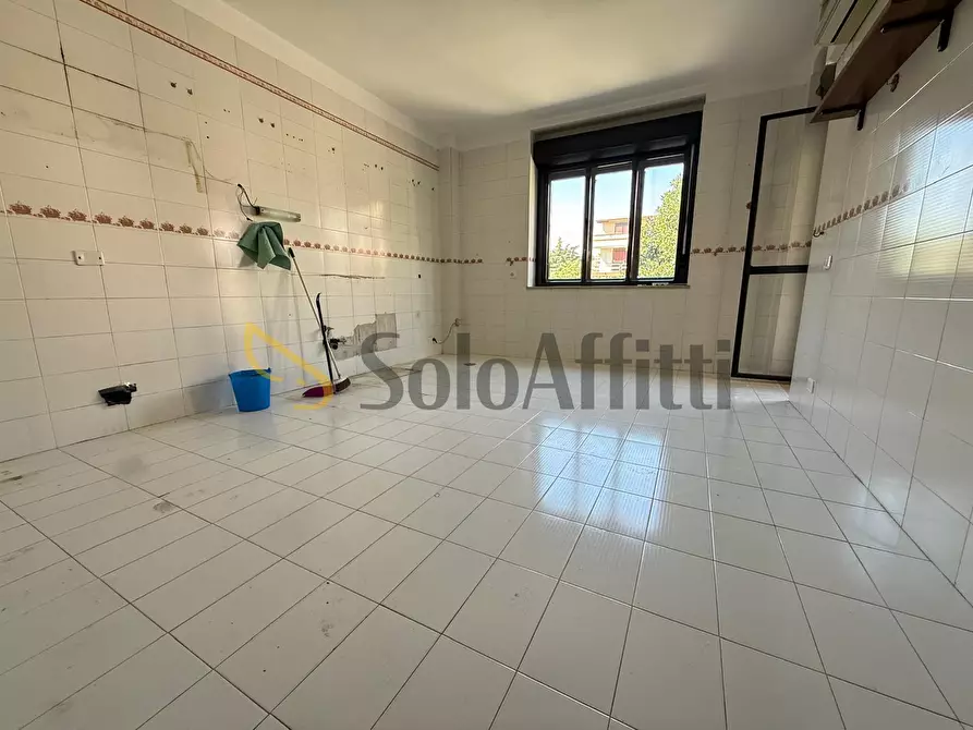 Immagine 15 di Quadrilocale in affitto  in Via Pier Paolo Pasolini 47 a Caserta