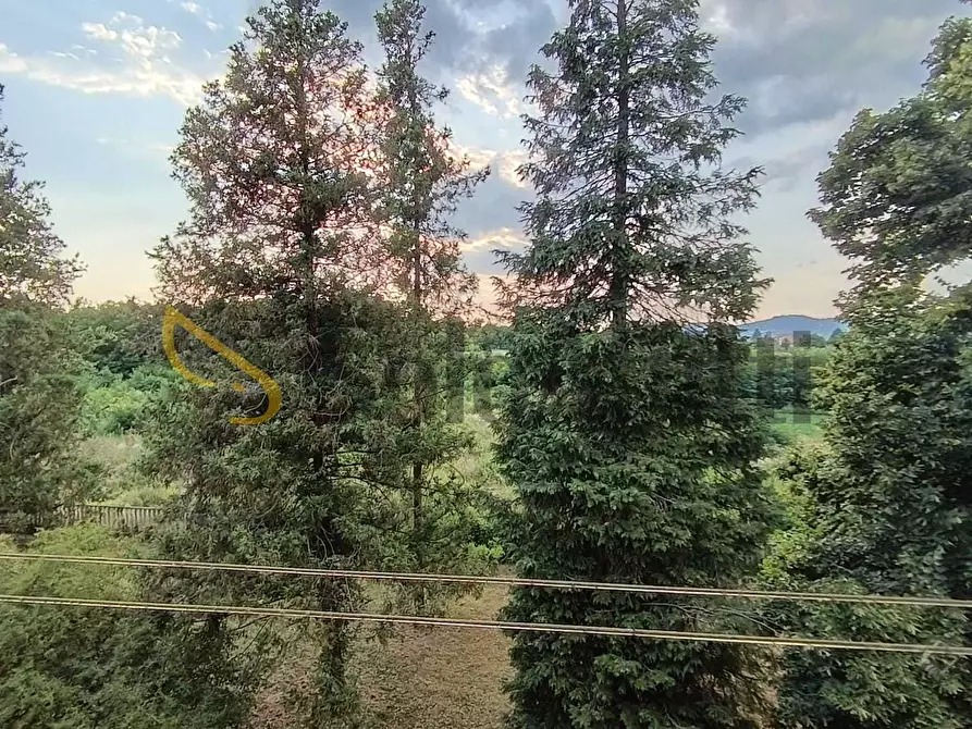 Immagine 18 di Quadrilocale in affitto  in Via Belvedere a Trofarello