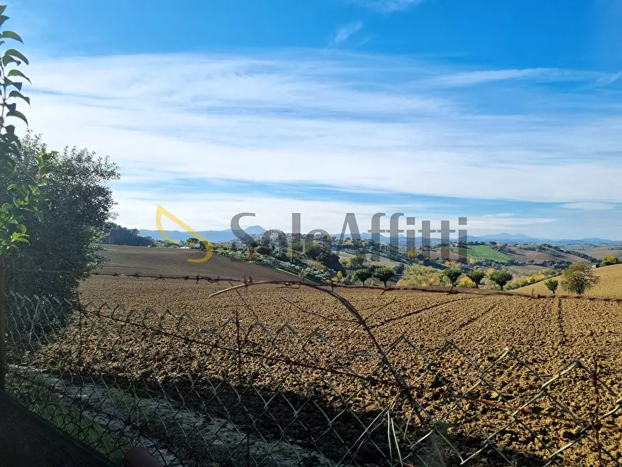 Immagine 3 di Casa indipendente in affitto  a Filottrano