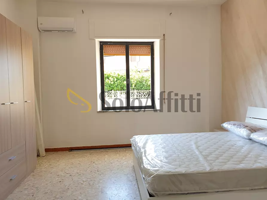 Immagine 5 di Trilocale in affitto  a Catanzaro
