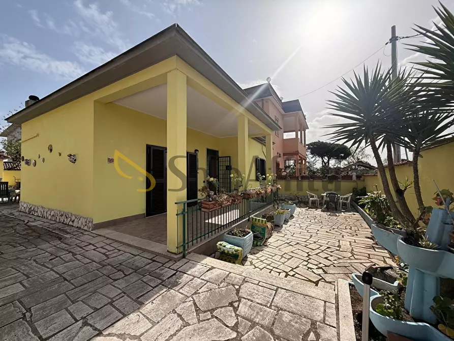 Immagine 1 di Villa in affitto  in Via Cittareale a Nettuno