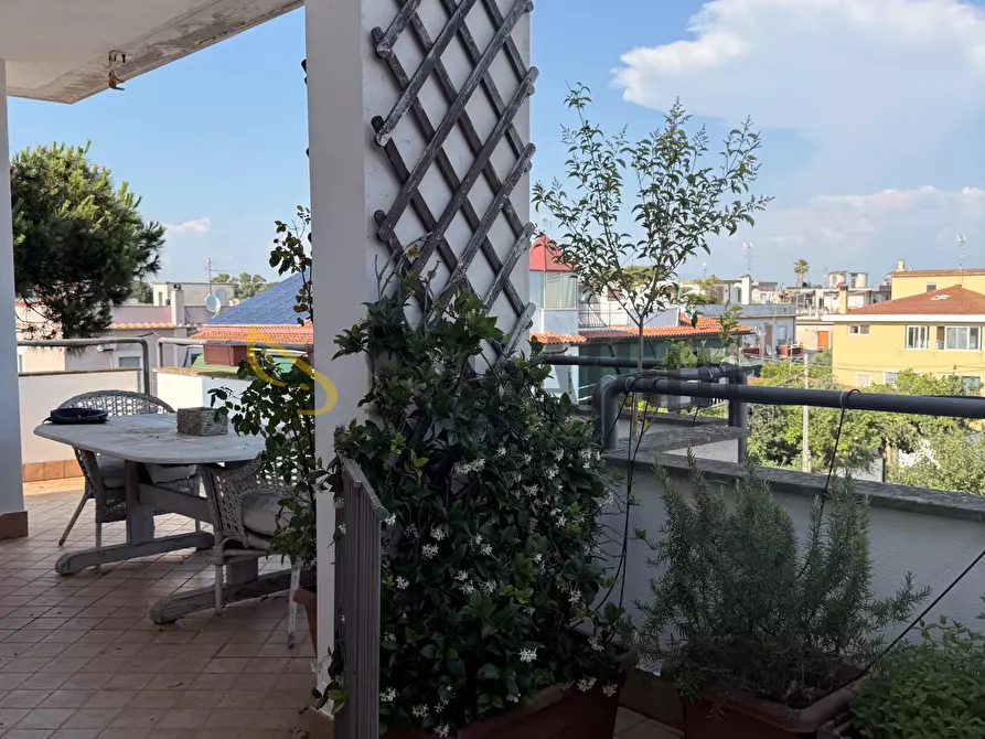 Immagine 9 di Attico in affitto  in Via Nobel a Anzio