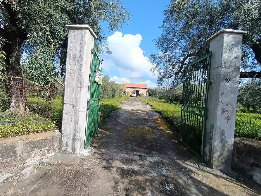 Immagine 2 di Terreno agricolo in vendita  in GRV6+27 Paternò, Città metropolitana di Catania a Paterno'