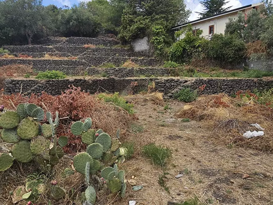 Immagine 2 di Terreno industriale in vendita  a Mascalucia