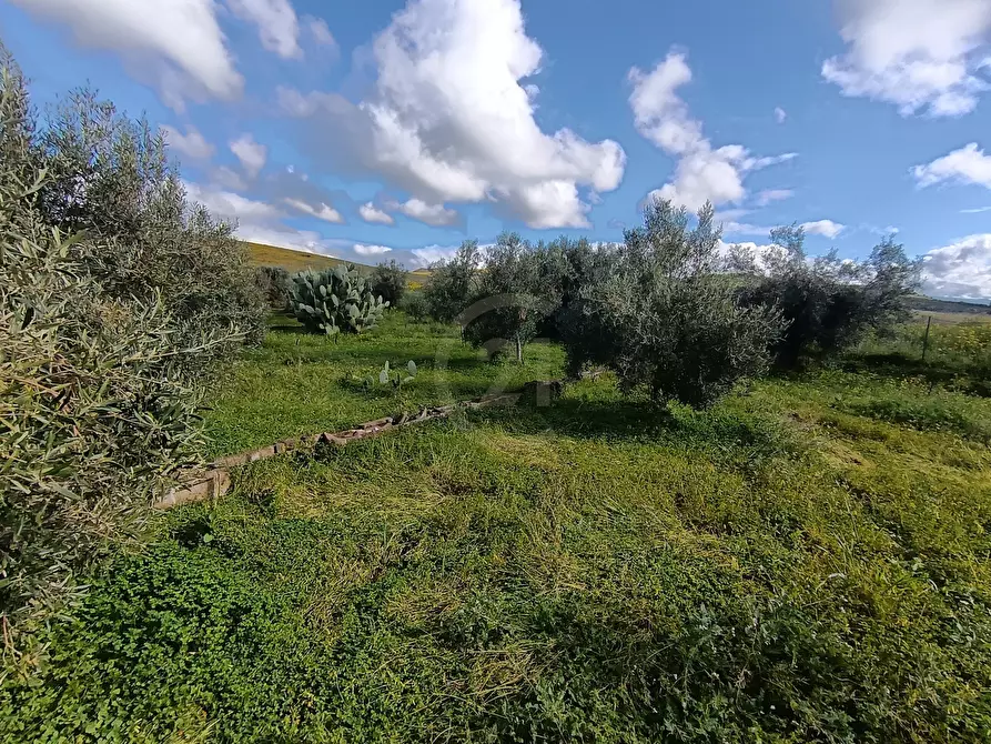 Immagine 22 di Terreno agricolo in vendita  in GRV6+27 Paternò, Città metropolitana di Catania a Paterno'