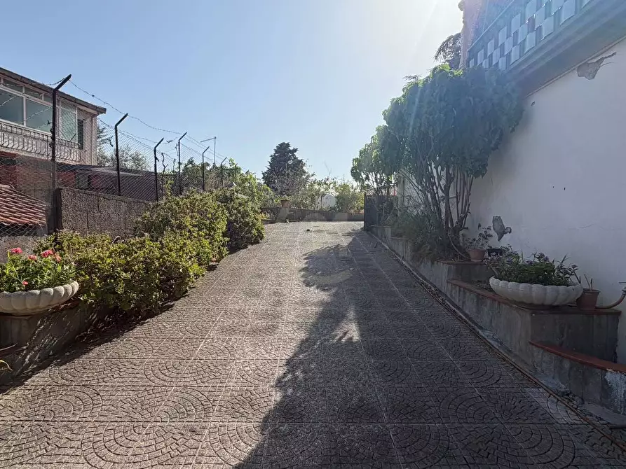Immagine 5 di Appartamento in vendita  a Mascalucia