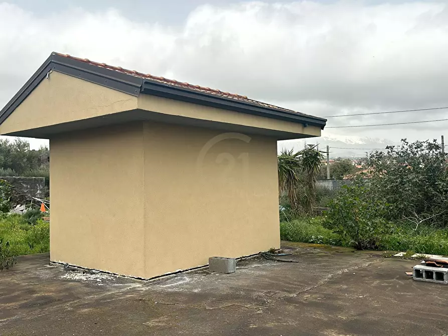 Immagine 4 di Terreno agricolo in vendita  a San Pietro Clarenza