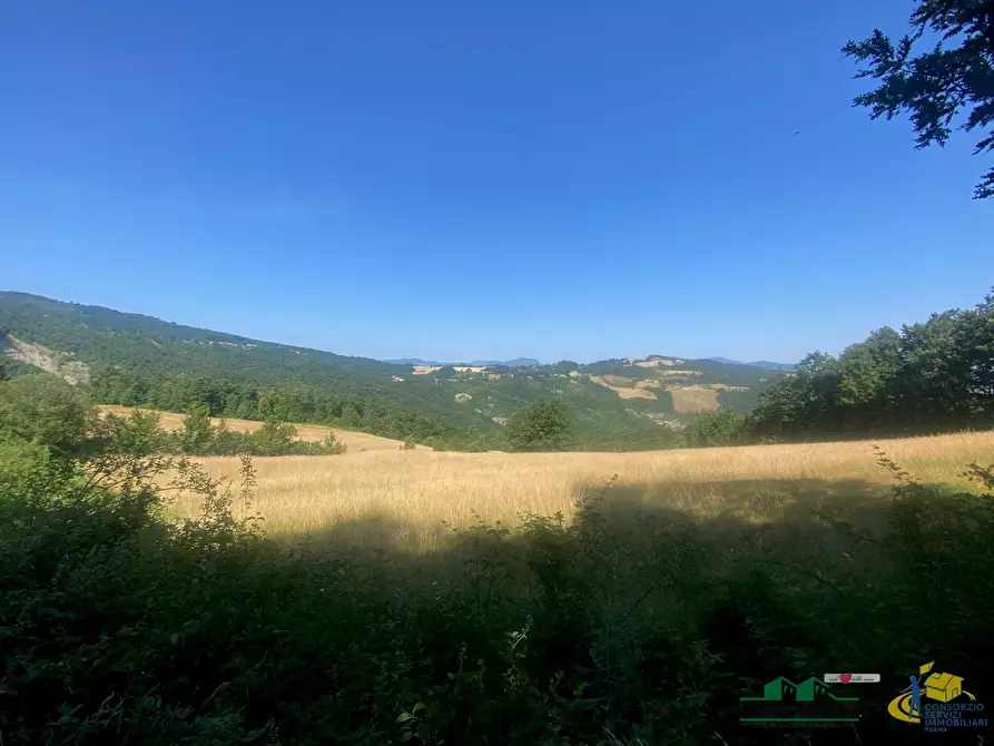 Immagine 4 di Terreno agricolo in vendita  in Località Molinelli 59 a Berceto