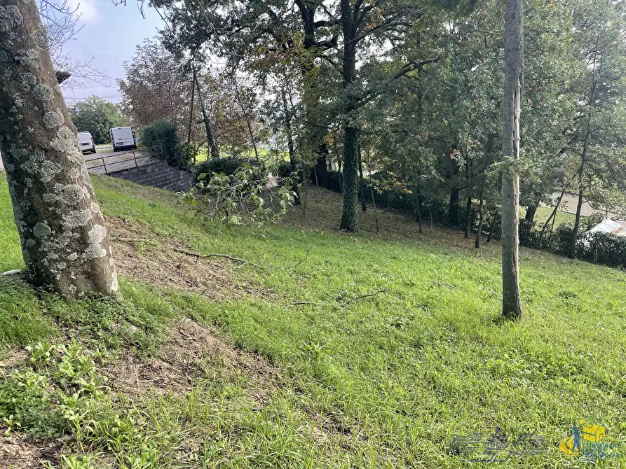 Immagine 8 di Porzione di casa in vendita  in via goiano a Langhirano