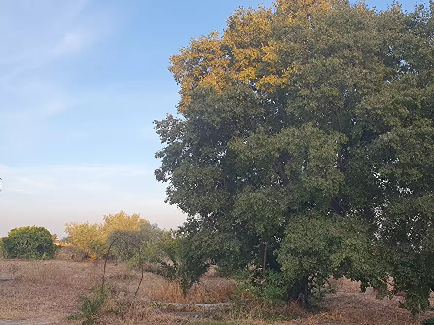 Immagine 26 di Villa in vendita  a Modica