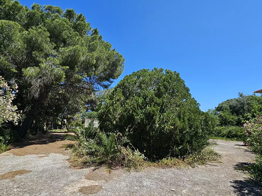 Immagine 9 di Villa in vendita  in Via Sorda Sampieri 197 a Modica