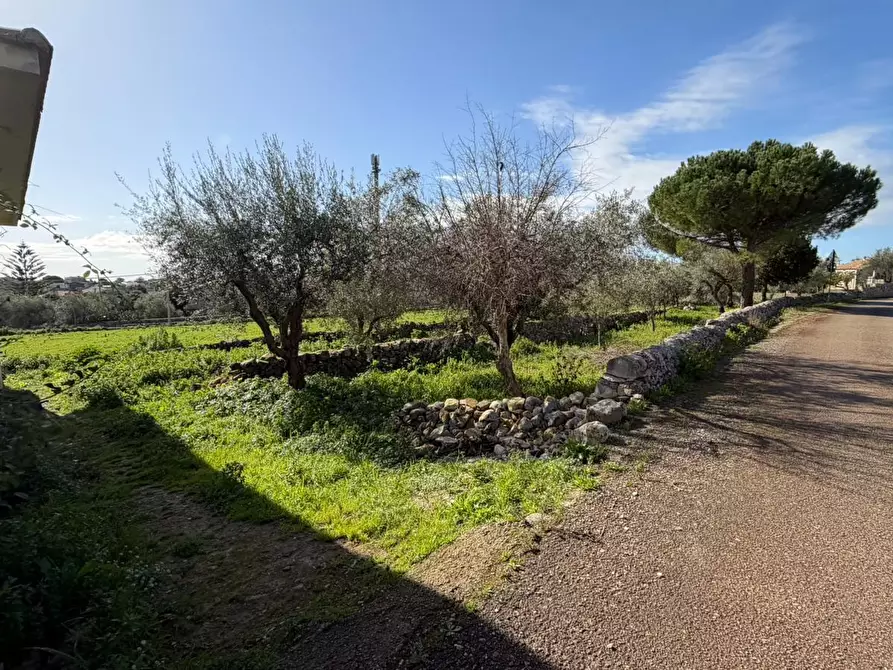 Immagine 8 di Villa in vendita  in Via Vanella 91 a Modica