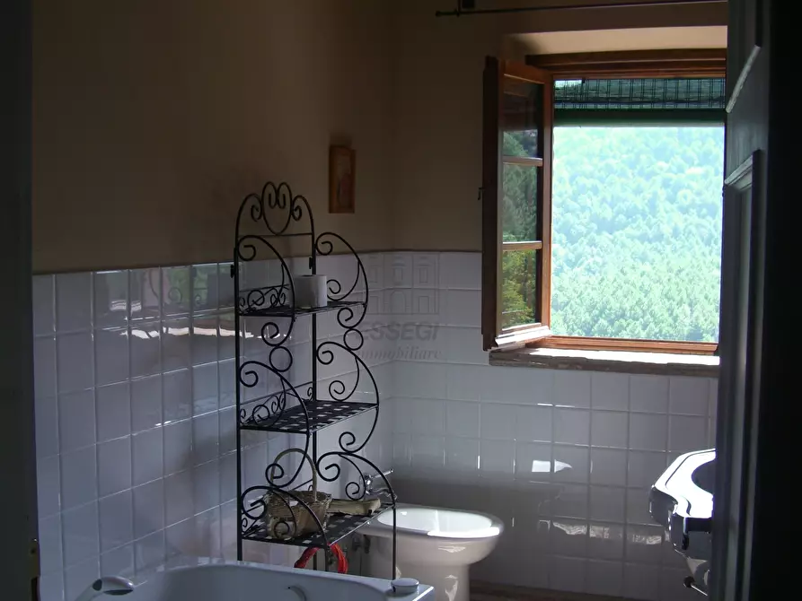 Immagine 14 di Rustico / casale in vendita  in viadon aldo mei a Buti