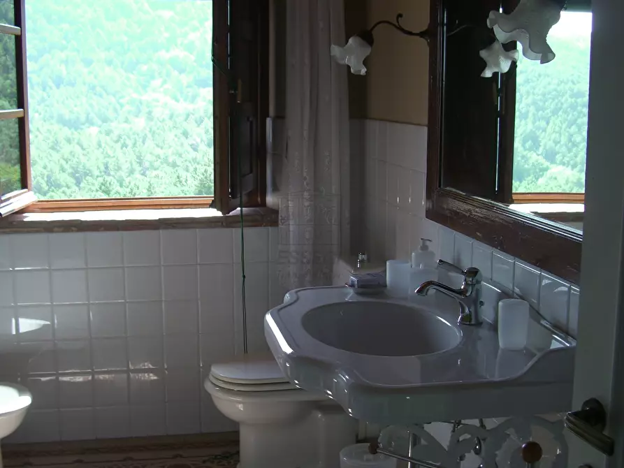 Immagine 16 di Rustico / casale in vendita  in viadon aldo mei a Buti