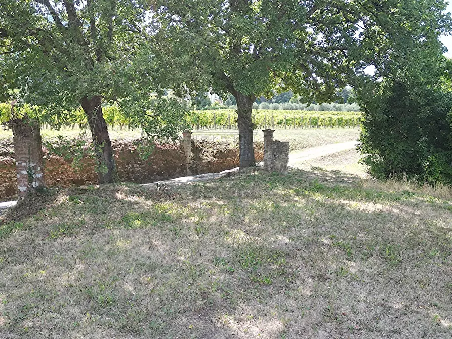 Immagine 18 di Rustico / casale in vendita  in Via del brennero 126 a Lucca