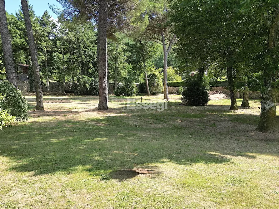 Immagine 8 di Villa in vendita  a Lucca