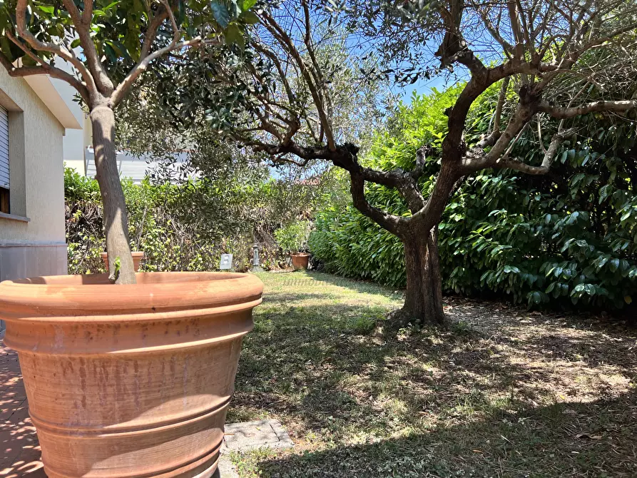 Immagine 6 di Villa in vendita  in Via della Chiesa XI 568 a Lucca