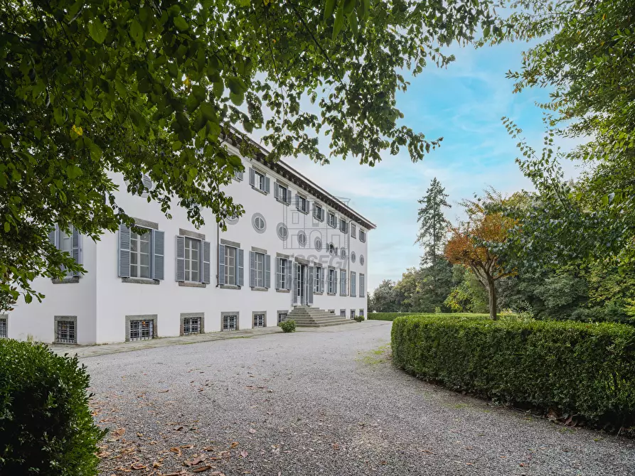 Immagine 39 di Rustico / casale in vendita  in Per matraia 22 a Capannori