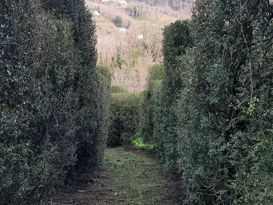 Immagine 35 di Villa in vendita  in via Colli 23 a Pescaglia