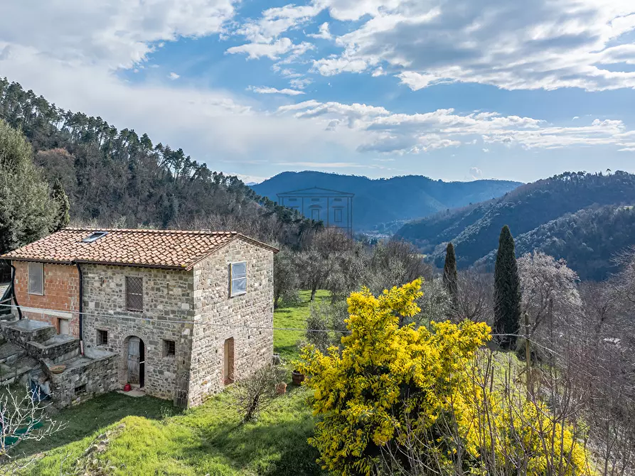 Immagine 4 di Rustico / casale in vendita  in via del Calissi 18 a Pescaglia