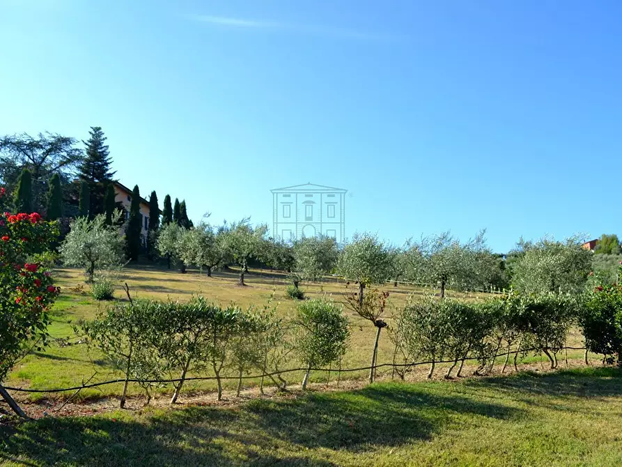 Immagine 15 di Rustico / casale in vendita  in via di san martino a Lucca