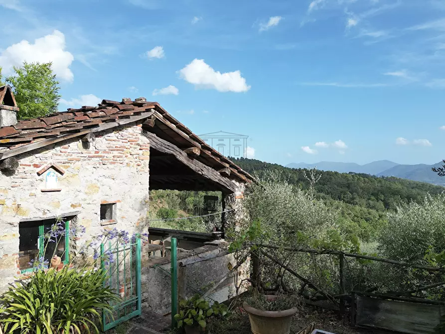 Immagine 6 di Rustico / casale in vendita  in Via per Chiatri 734 a Lucca
