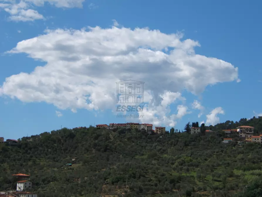 Immagine 50 di Rustico / casale in vendita  a Capannori