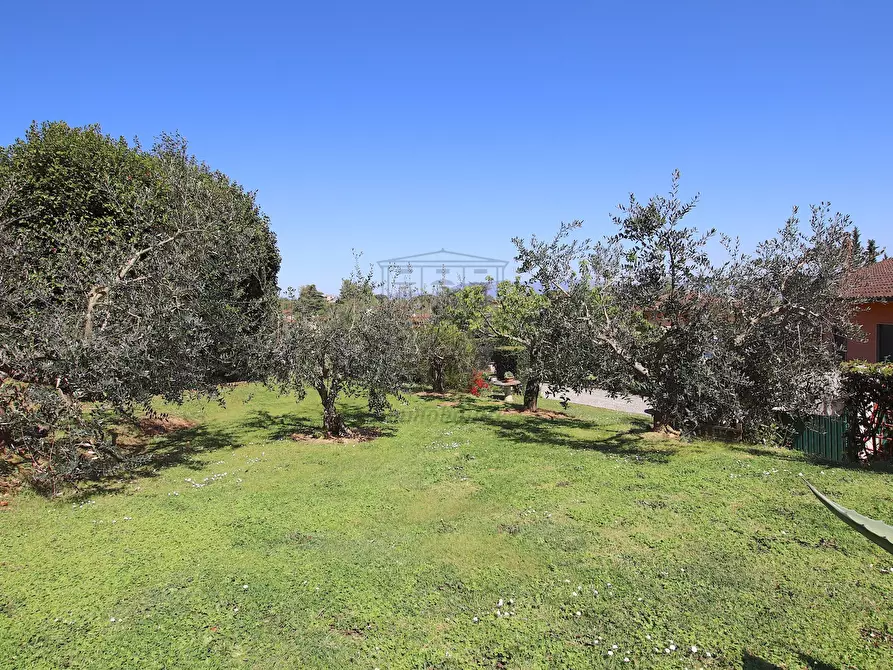Immagine 50 di Villa in vendita  in Via Comunale Campolungo 51 a Lucca