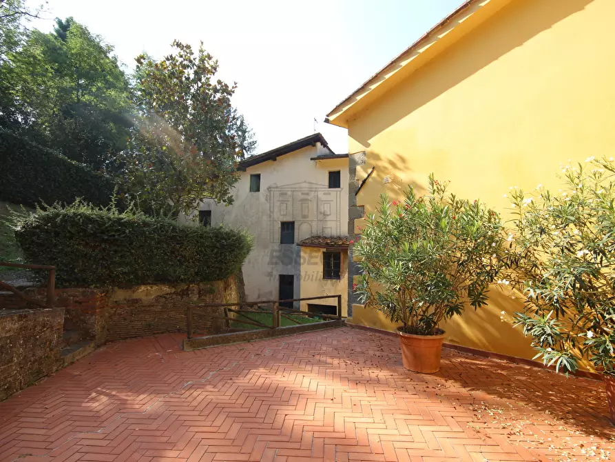 Immagine 15 di Azienda agricola in vendita  in Via Tofori a Capannori