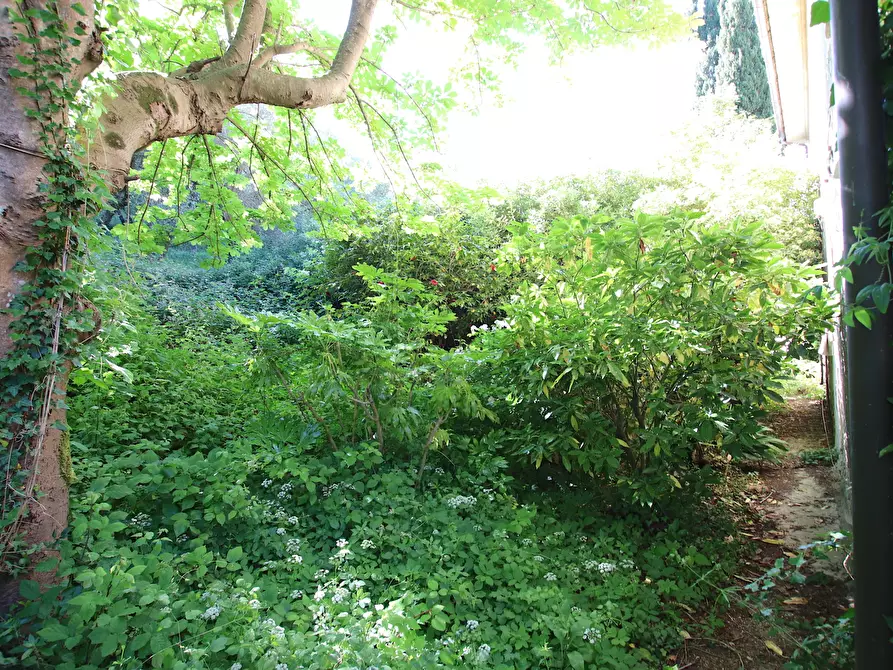 Immagine 25 di Rustico / casale in vendita  in Guamo 34A a Capannori