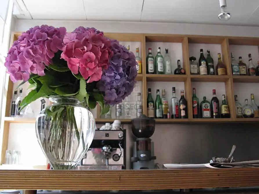 Immagine 6 di Albergo/B&B/Residence in vendita  in Viale Giovanni Pacini 115 a Lucca