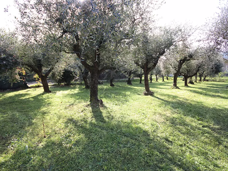 Immagine 17 di Casa indipendente in vendita  in Via di Tiglio 611 a Capannori