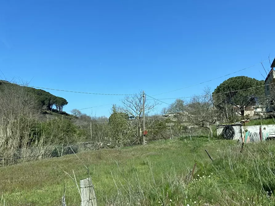 Immagine 16 di Appartamento in vendita  in Contrada Sant'Antonio del Campo 3 a Motta San Giovanni