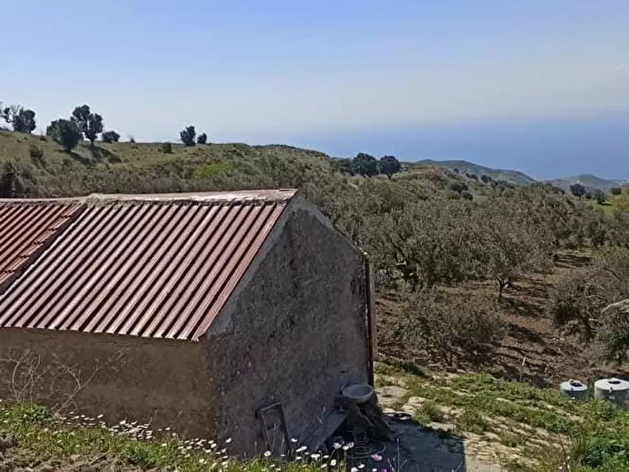 Immagine 13 di Terreno agricolo in vendita  a Motta San Giovanni