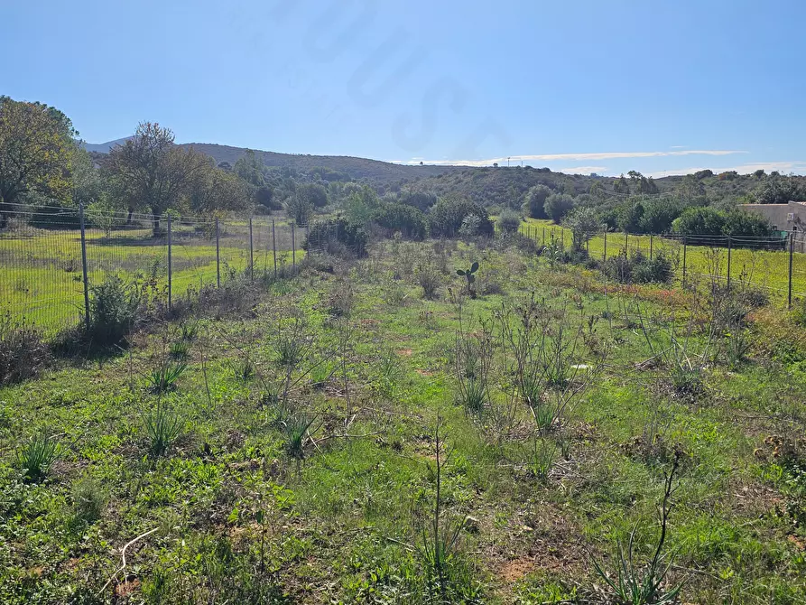 Immagine 1 di Terreno agricolo in vendita  in Via delle More a Quartucciu