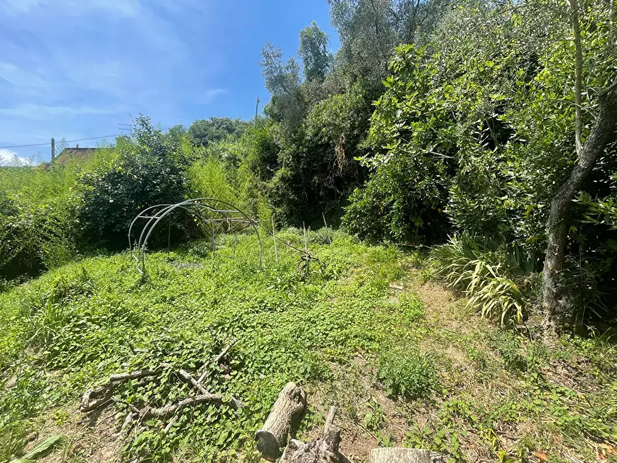 Immagine 2 di Casa indipendente in vendita  a Ameglia