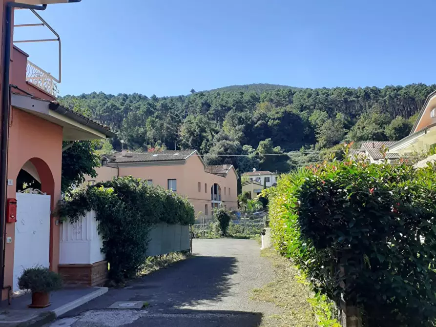 Immagine 15 di Porzione di casa in affitto  a Ameglia