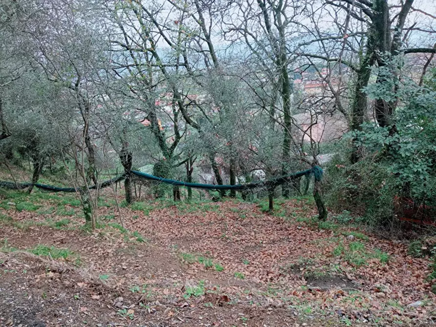 Immagine 1 di Terreno edificabile in vendita  a Ameglia