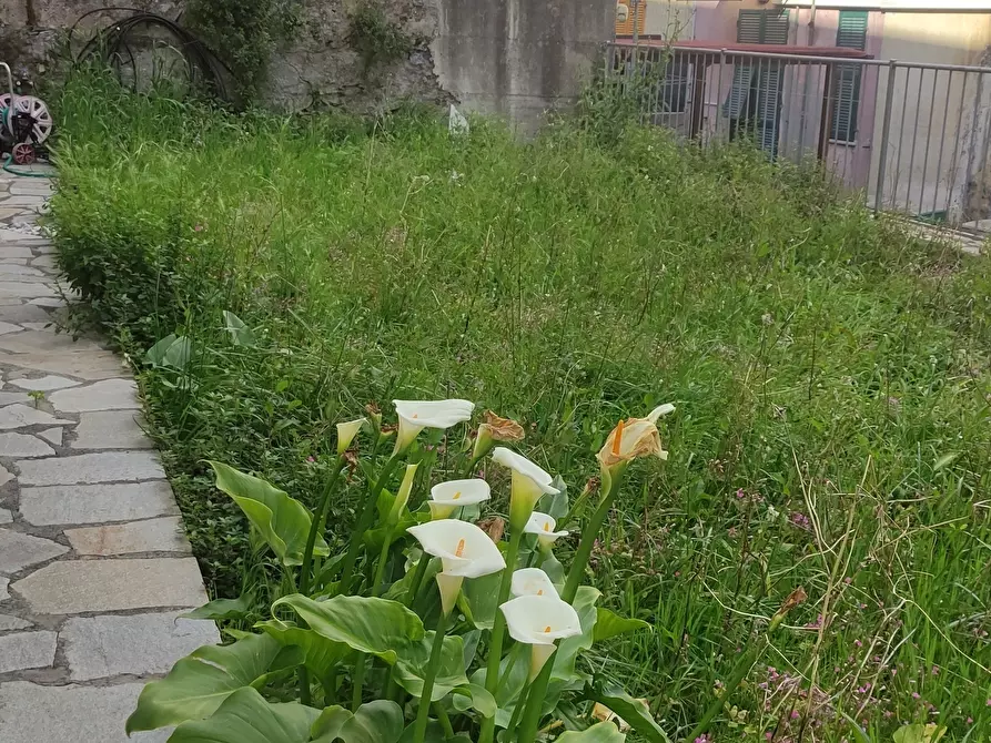 Immagine 15 di Appartamento in vendita  a La Spezia