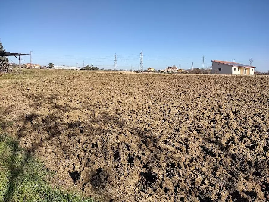 Immagine 9 di Terreno agricolo in vendita  a Jesi