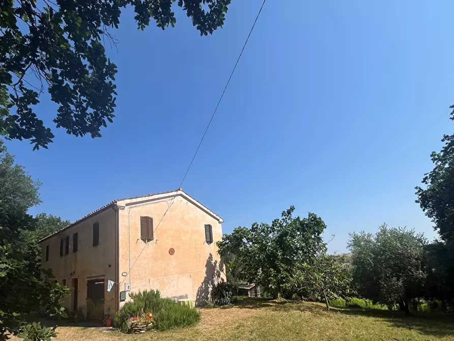 Immagine 39 di Casa indipendente in vendita  in Contrada Colle a Montecarotto